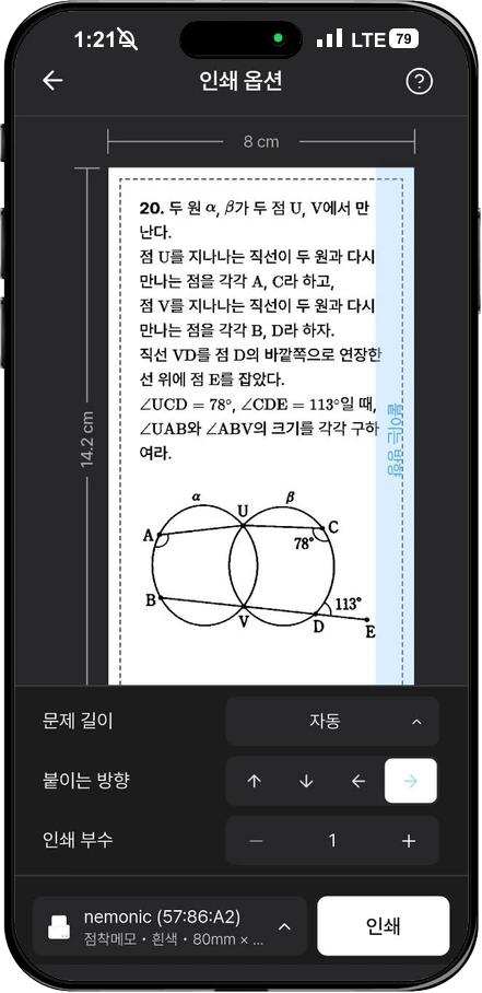 텍스트화한 20번 기하 문제의 길이와 붙이는 방향을 확인하는 인쇄 옵션 화면